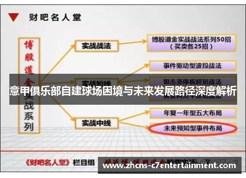 意甲俱乐部自建球场困境与未来发展路径深度解析